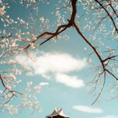 女神纪元果盘变态版下载